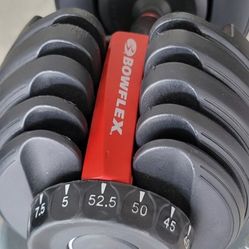 Bowflex Dumbells 