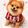 Oso The Pom