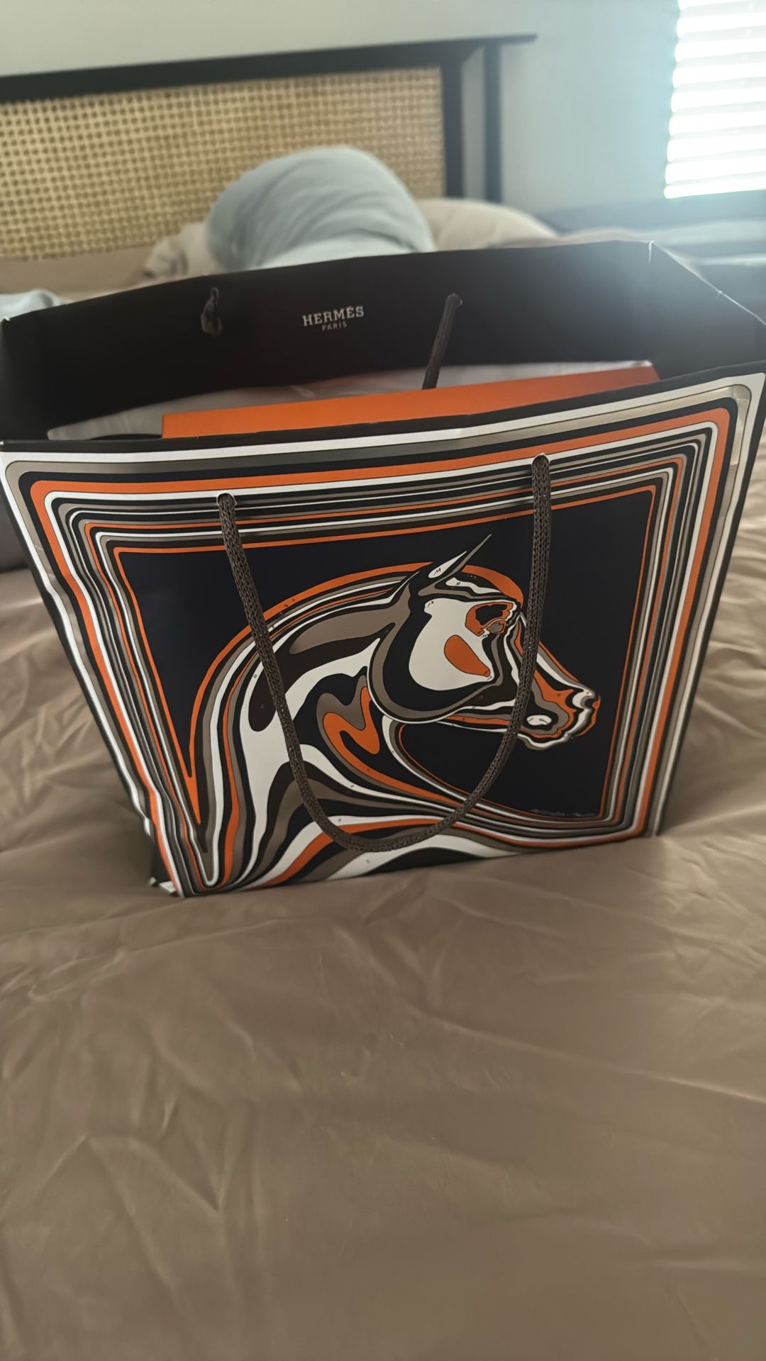 Hermes Box And Bag