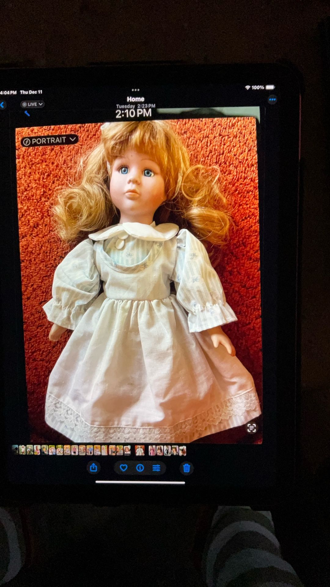 Collectible Doll