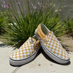 Vans Men Size 10. 