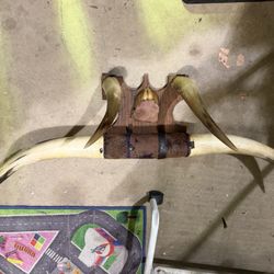Horn Decor