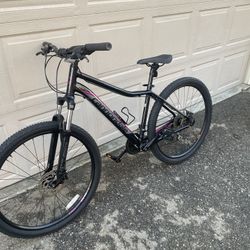 Black & Grey Mountain Bike With Purple Accents