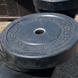 Rogue HG 2.0 Bumper Plate, specifically a 2-45lbs 