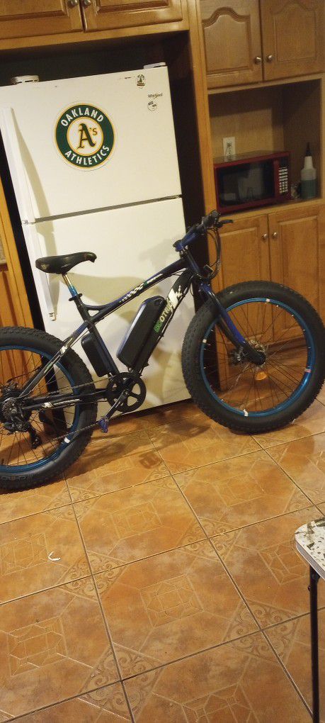 Ecotric Sport cool Electric Bike 36v