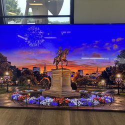 75 IN Flat Screen Vizio TV and remote 