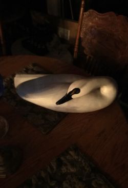 Great wood carving of Swan