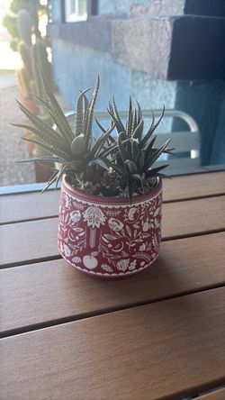 Red Ceramic Planter with Succulent