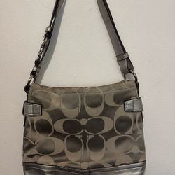 Shoulder Bag/crossbody Bag 