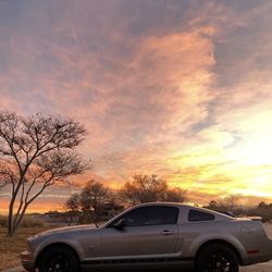 2009 Ford Mustang