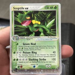Sceptile ex