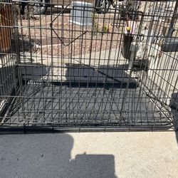 Large dog crate