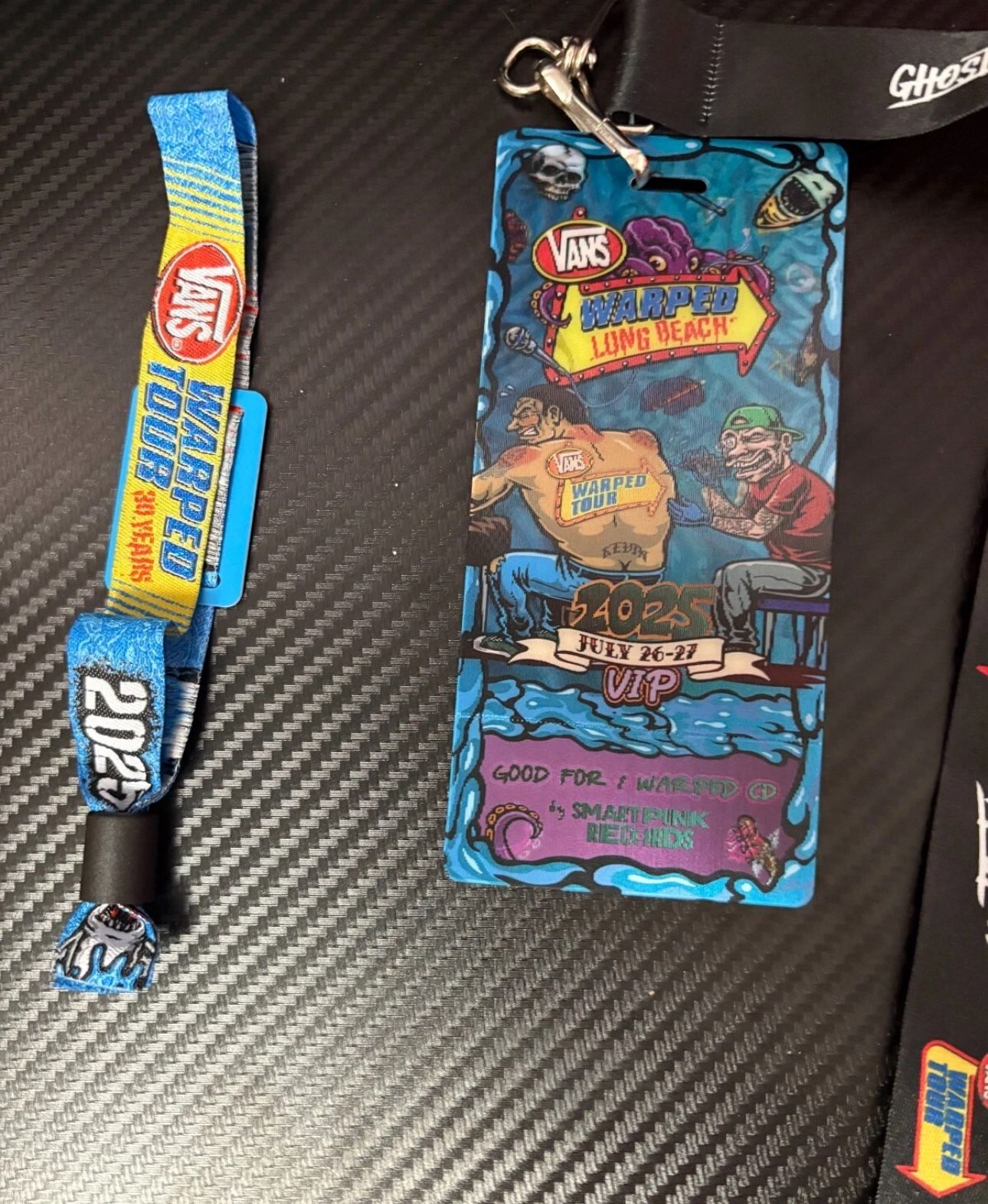 Vans Warped Tour Long Beach VIP Wristband