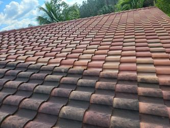 Ray's Professional Exterior Cleaning  & Restoration