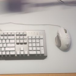 Razer Keyboard & Mouse