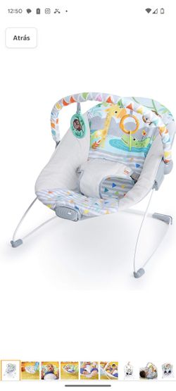 Bright Starts Baby Bouncer Soothing Vibrations