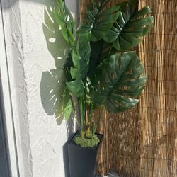Fake Plant 