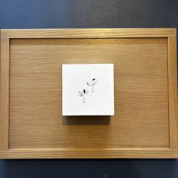 AirPod Pro 2nd Generation (Authenticated and Tested)