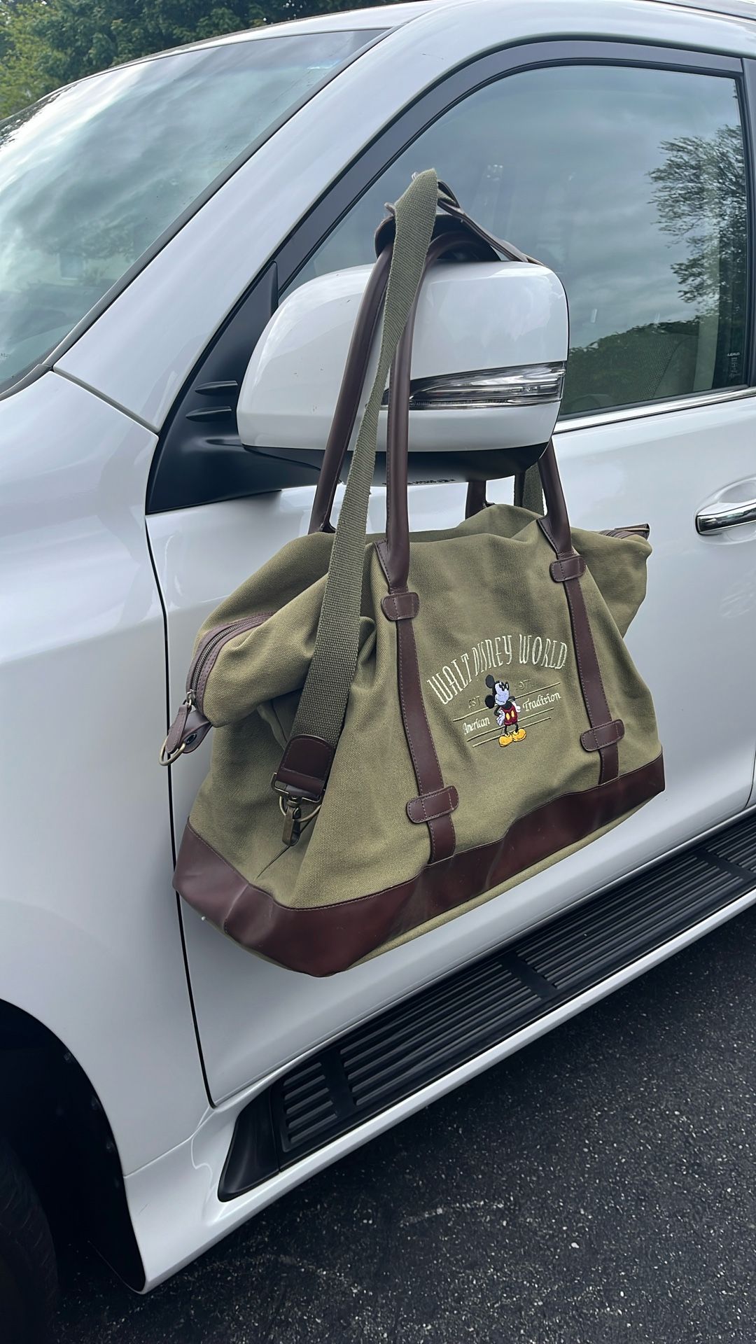 DISNEY WORLD - Carry bag- Brand New - LOCAL PICKUP