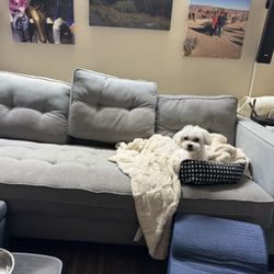 Free Couch Sofa Sectional