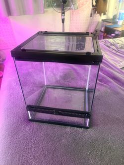 12x12x15 Glass Reptile Terrarium with Screen Top