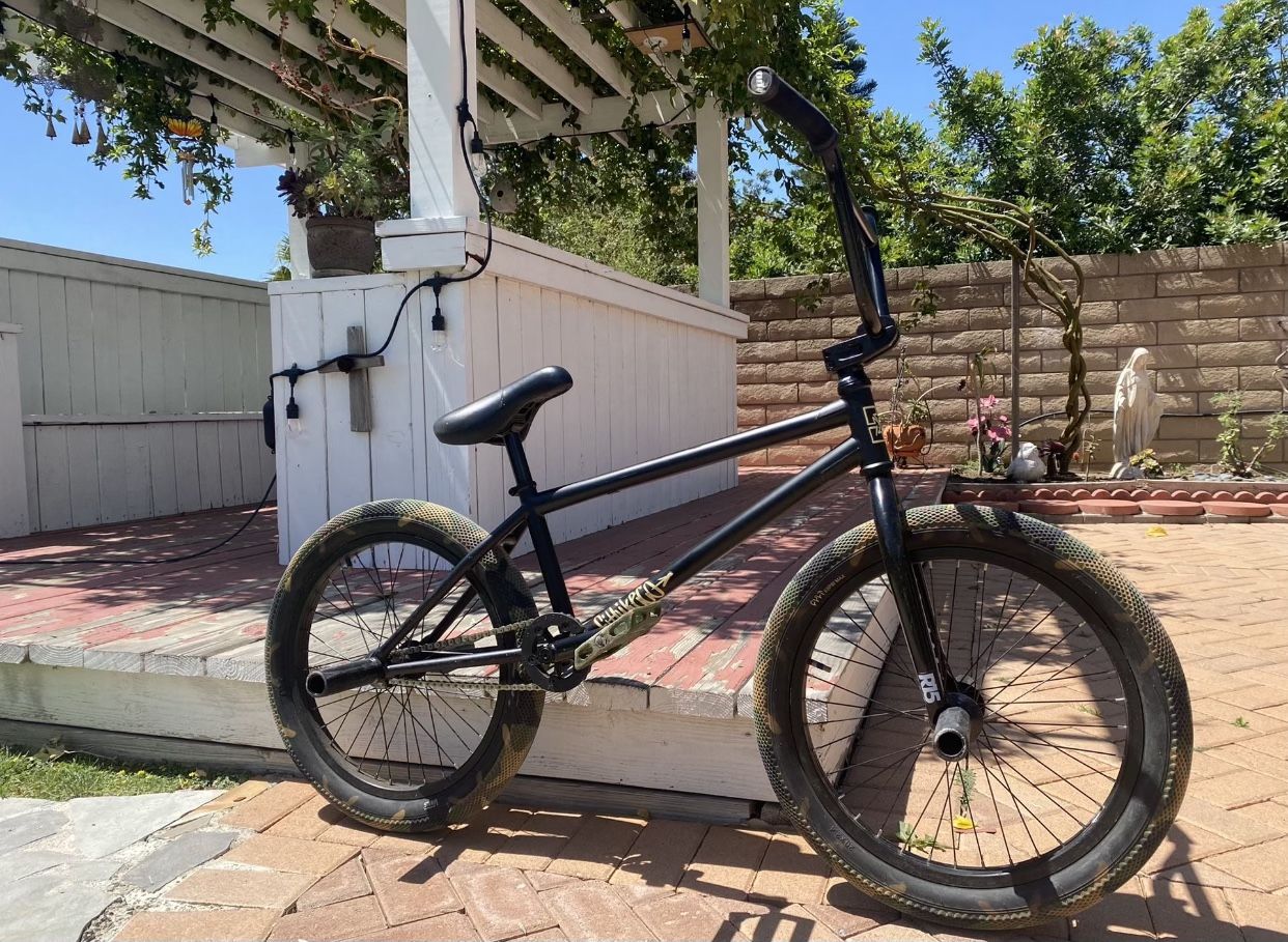 20” Custom Built FIT BMX Bike