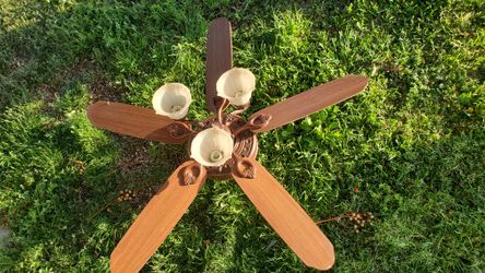 Ceiling Fan