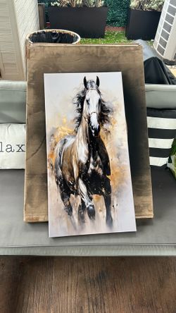 Fairly new horse frame