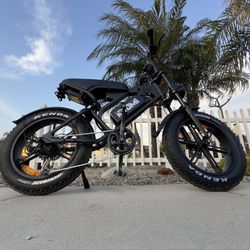 Electric Bike