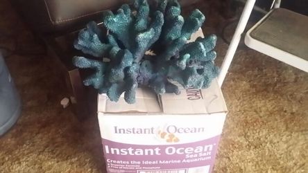 Coral decoration