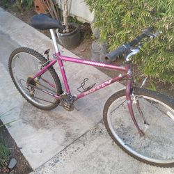 Motiv Mountain Bike 