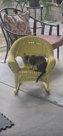 Small Rattan Chair 