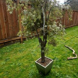 Japanese Maple Faux Tree
