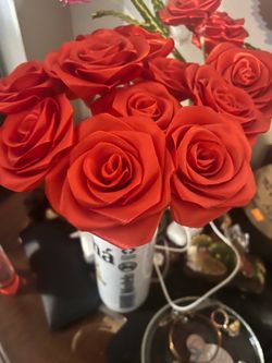 14 Rosas Internas Ala venta