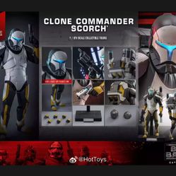 1/6 Hot toys Star Wars Scortch brand new 