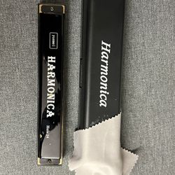 yuemei HARMONICA Hole 24