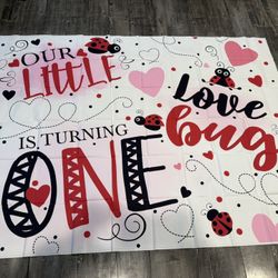 Lady Bug Decor 