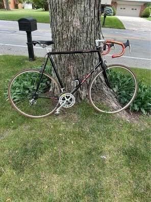 1984 Trek 560 12-speed road bike 24” frame, 24” rims. 