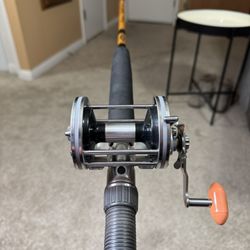 Ugly Stik Tiger/ Kencor Conventional Fishing Setup