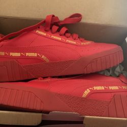 Pumas 