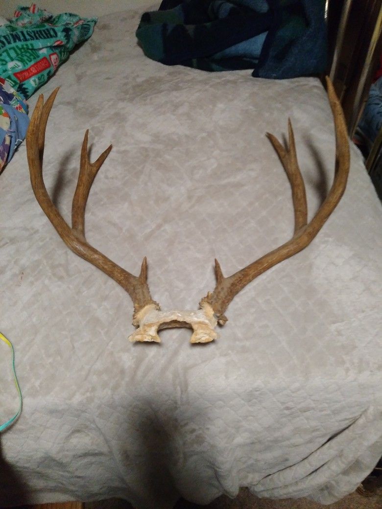 DEER RACK