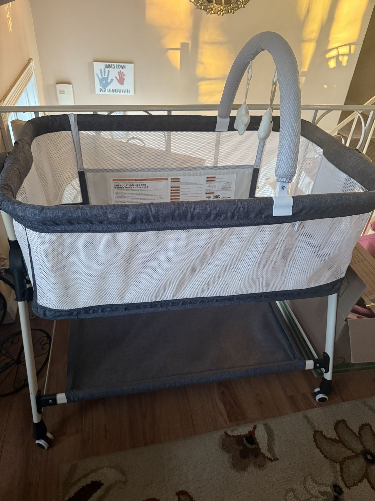 Great Condition Bassinet