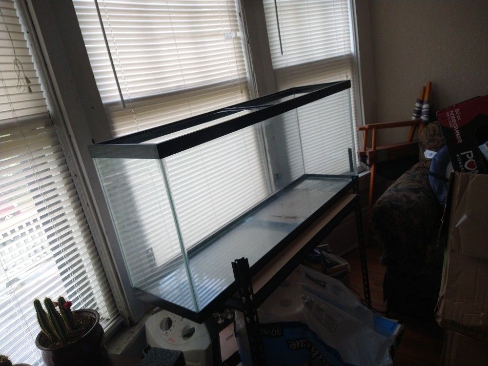 Large Fish Tank Asking $225 For Pickup In Westport