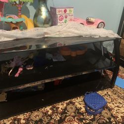 Glass Tv Stand