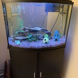 37 Gallon Bowfront Aquarium 