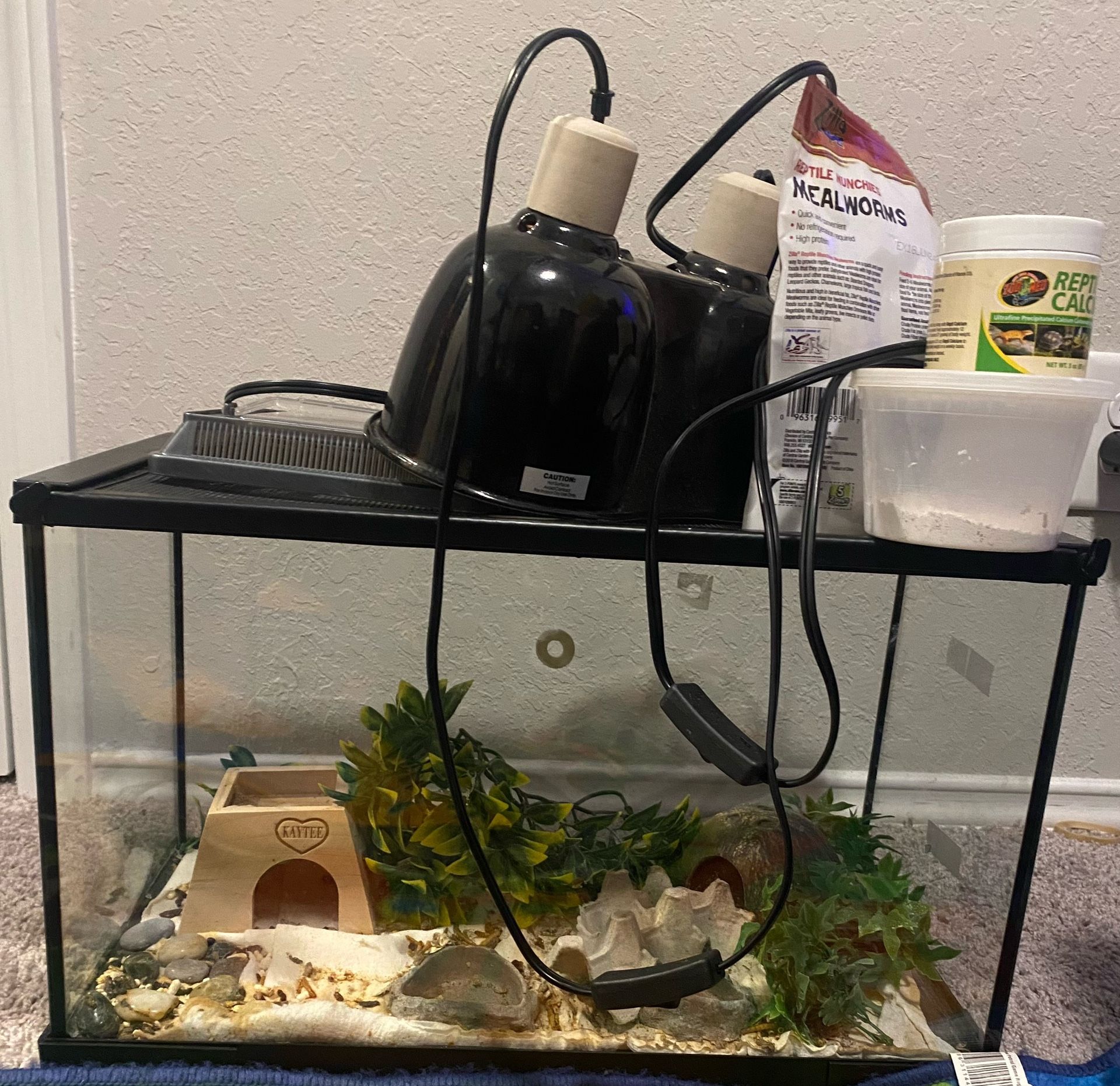 Reptile Tank
