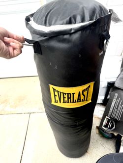 Everlast Punching Bag