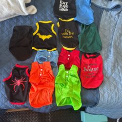 Kitten / Small Puppy Clothes 
