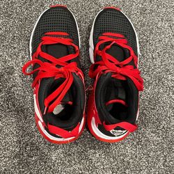 LeBron Basketball Shoes 