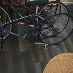 1990 Bianche Double Butted chrome Moly